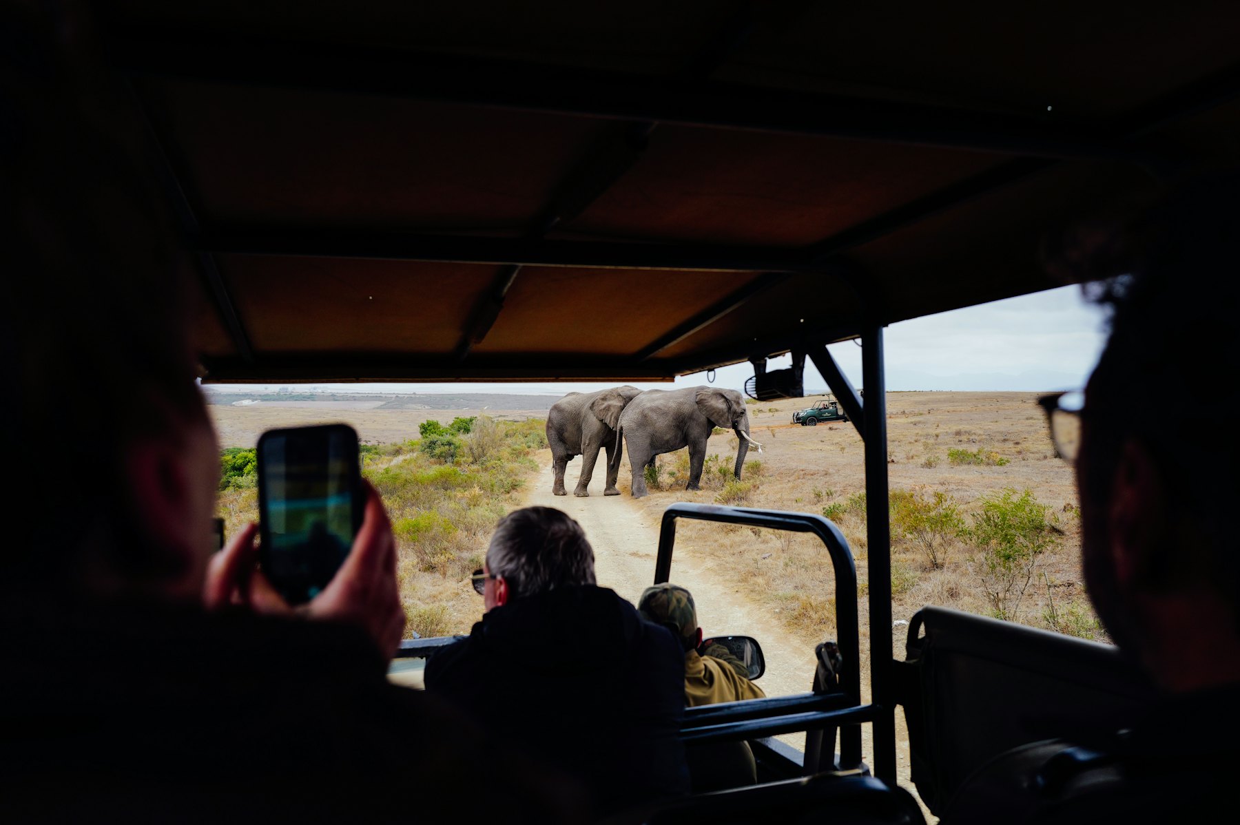 Safari reizigers kijken vanuit een jeep naar olifanten in Afrika