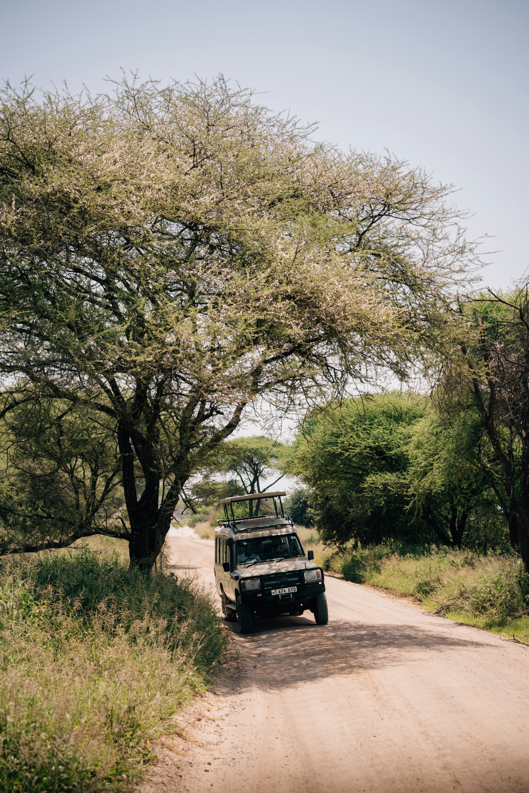 Combinatiereis Malawi en Zambia