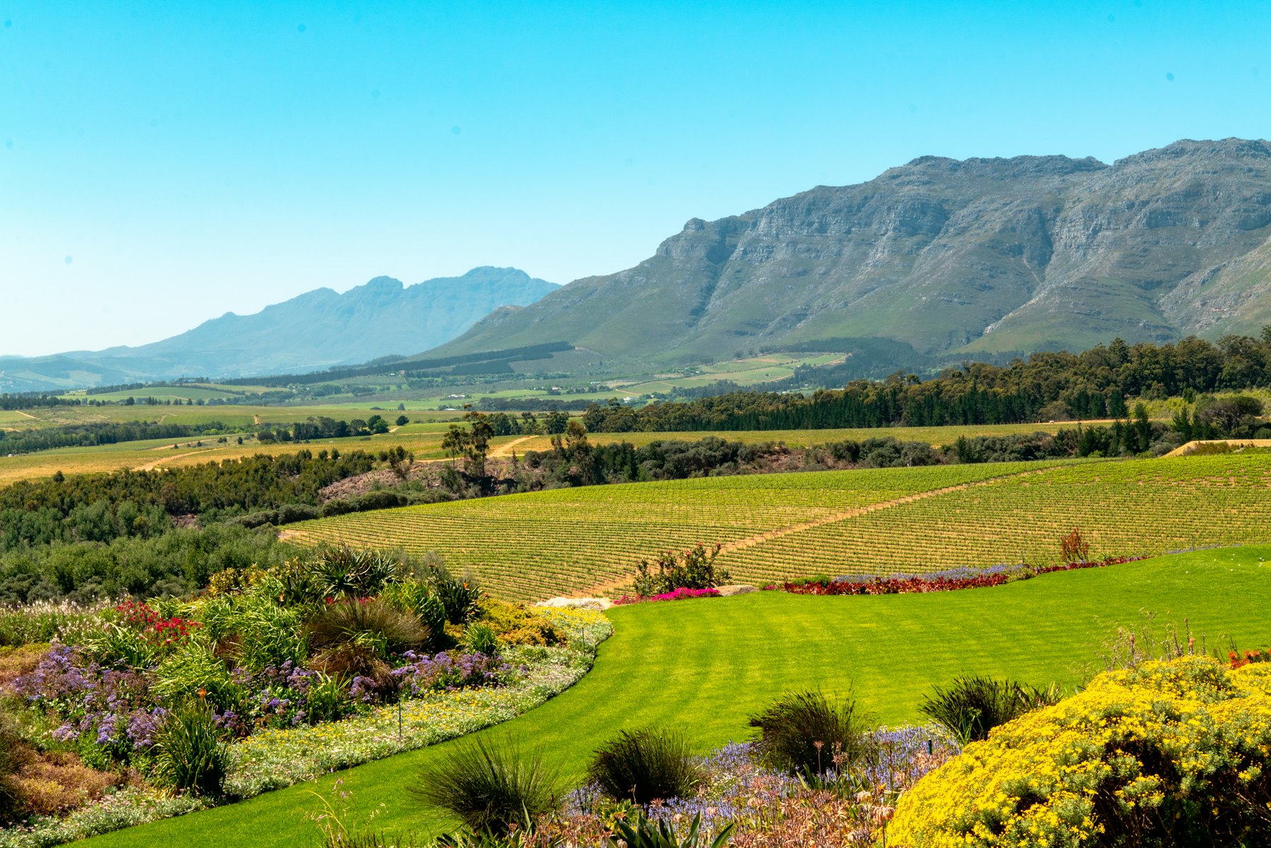 Wijnlandschap in Zuid-Afrika voor culinaire maatwerkreizen