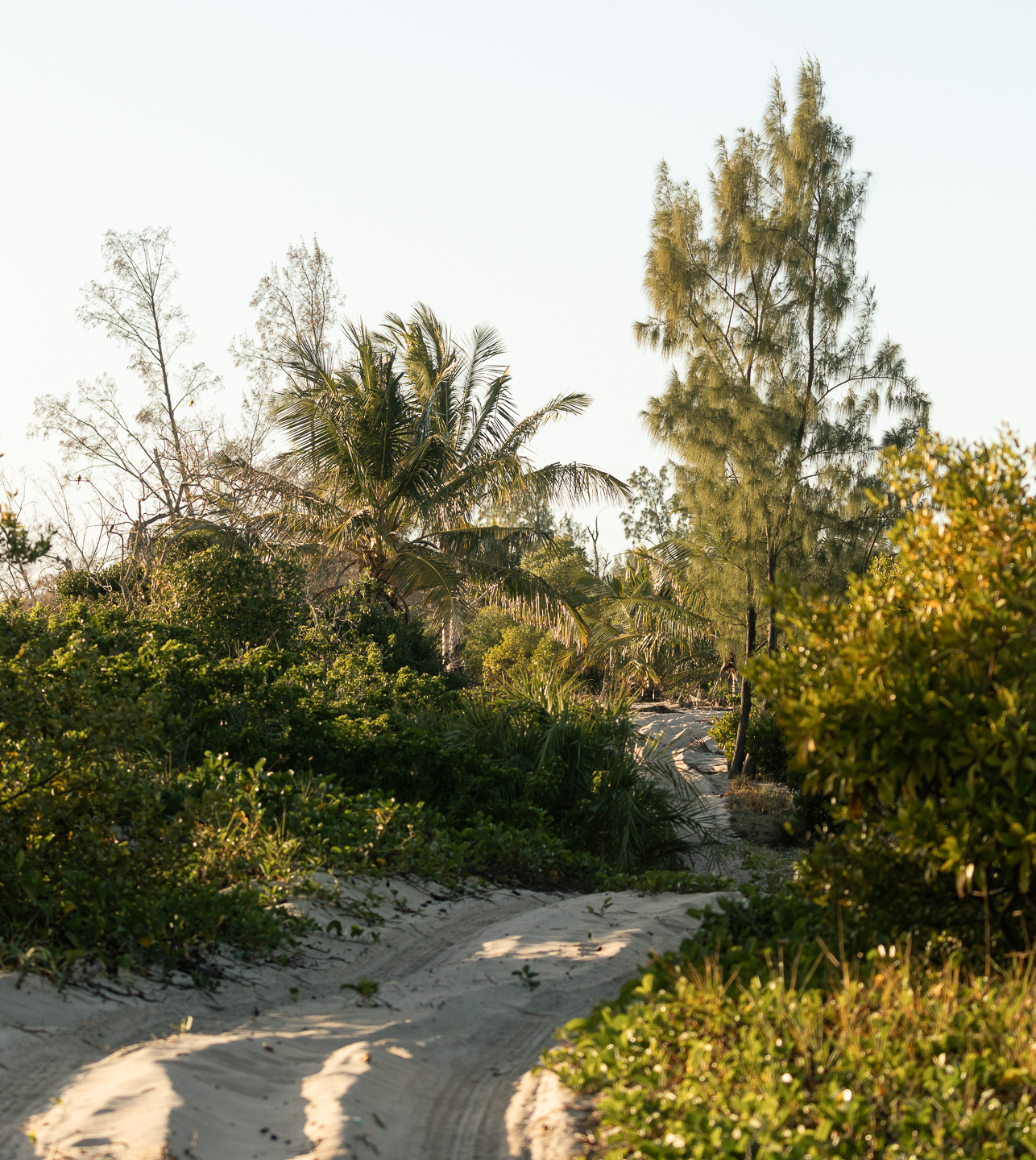 Mozambique maatwerkreis