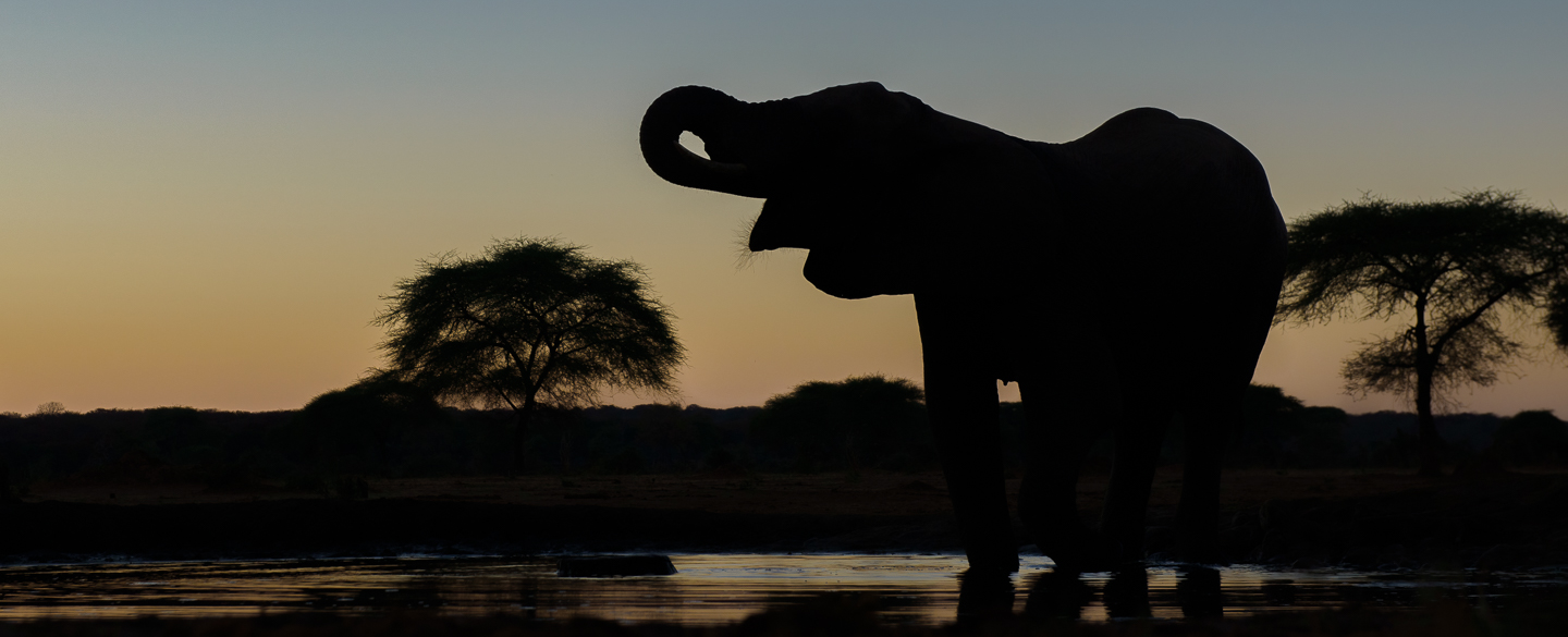 Afrika route inspiratie voor Beyond Routes